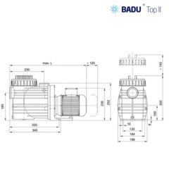 badu top2 dim